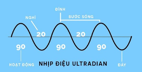 Làm việc trong khoảng 90 phút